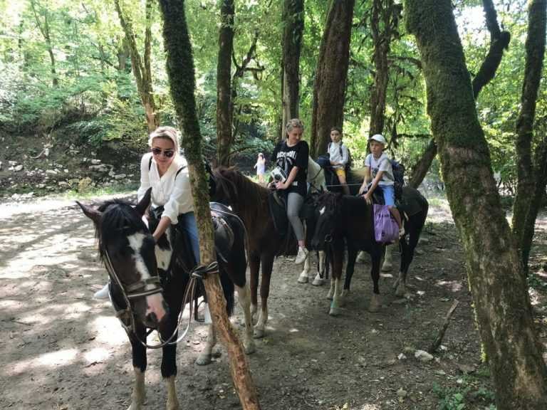 Конные прогулки в Сочи в Хосте