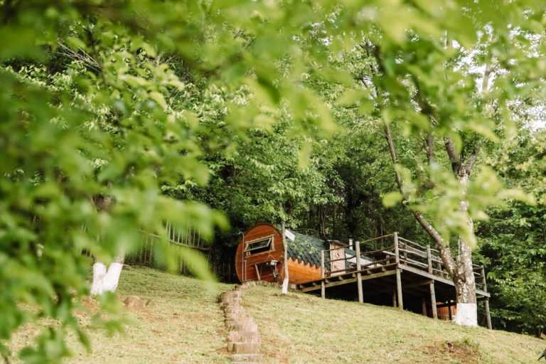 Глэмпинг EcovillageSochi в Сочи