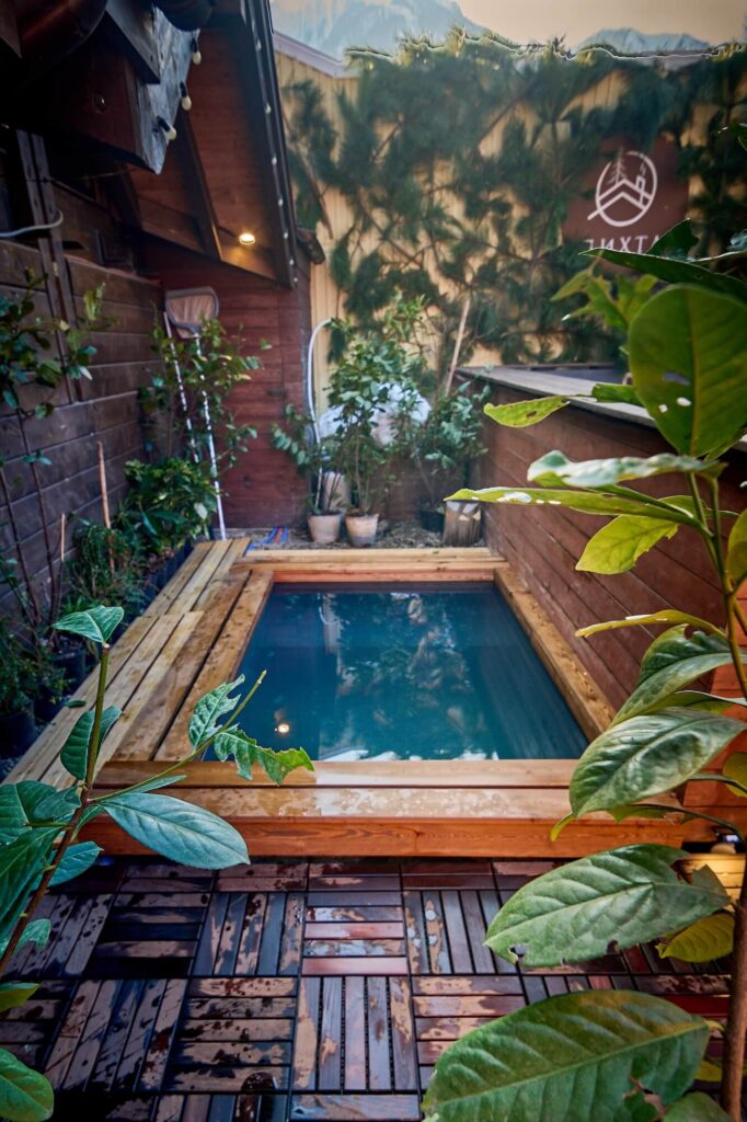 баня пихта на Красной Поляне