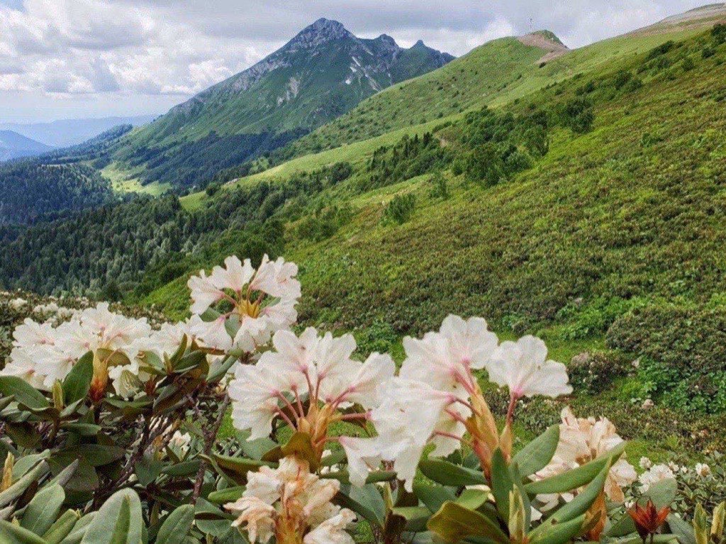 поход по хребту аибга через альпийские луга