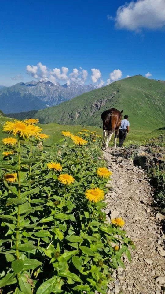 Артур